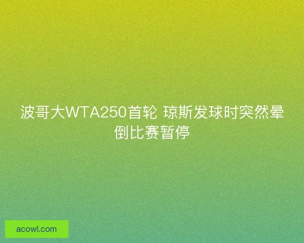 波哥大WTA250首轮 琼斯发球时突然晕倒比赛暂停